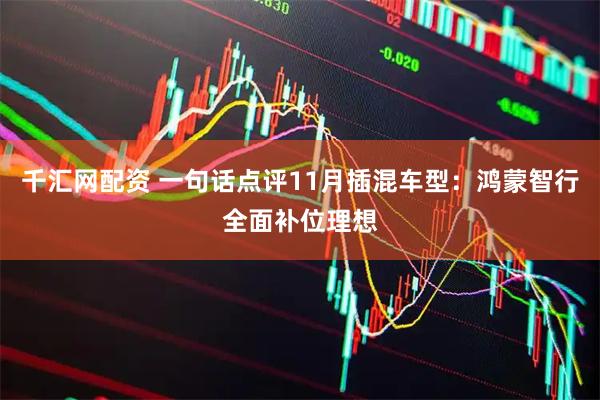 千汇网配资 一句话点评11月插混车型：鸿蒙智行全面补位理想